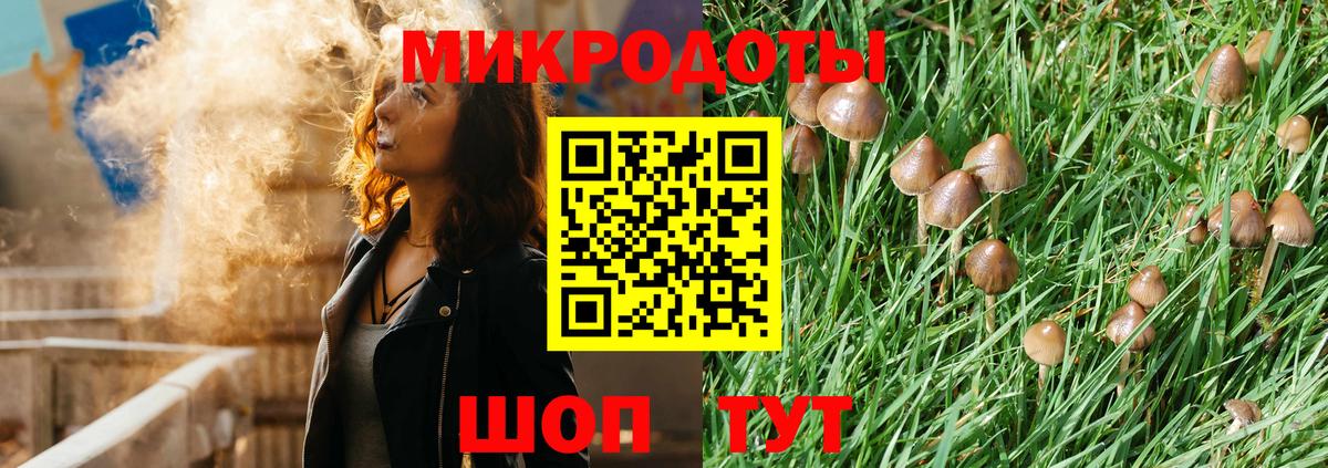 Отрадный  Галлюциногенные грибы мухоморы  Вход с VPN  где купить наркоту  Галлюциногенные грибы Magic Shrooms 